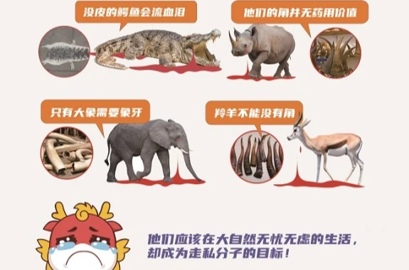 2025年度反走私“五进”主题宣传 /html/2025/zuixindongtai_0623/74876.html